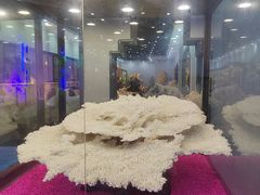 -游龙石文化科普馆