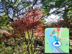 -广州市石门国家森林公园