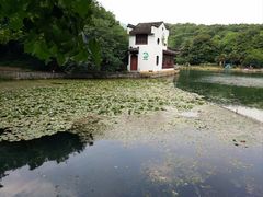 -南京珍珠泉风景区
