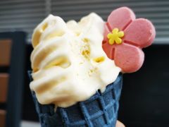 -麦当劳(新洲南路店)