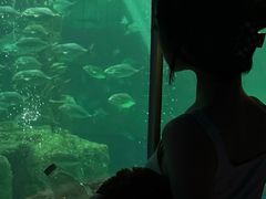-香港海洋公园