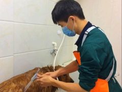 -瑞派康怡24h宠物医院·犬猫医疗中心·微创绝育(瑞景分院)