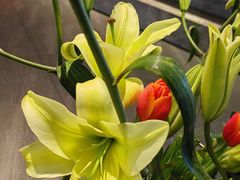 -香融府·烤鸭·家常菜(花乡奥莱店)