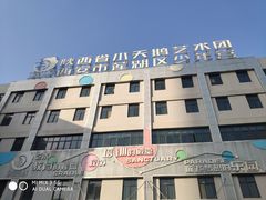 -陕西省小天鹅艺术团