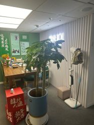 -章光101防脱养发荟
