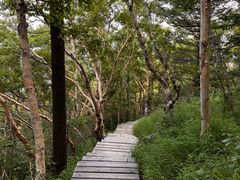 -白草畔自然风景区