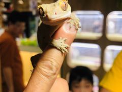 -藦茜花园宠物主题亲子互动体验馆(国顺东路店)