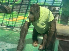 -泉州海丝野生动物世界