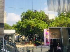 -Seesaw Coffee(上生新所店)