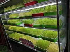 -番食园鲜食火锅(高新店)