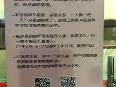 -猫咪博物馆(顶澳仔猫街店)