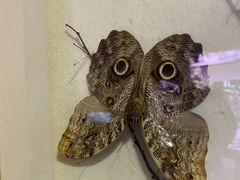 -陕西自然博物馆