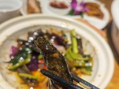 -周锦记广式餐厅