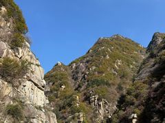 -王顺山国家森林公园