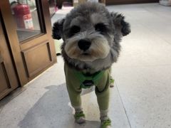 -FAELING PETS美天灵宠物(富力广场店)