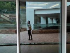 -香港大学