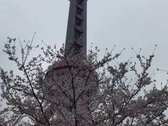 -东方明珠广播电视塔