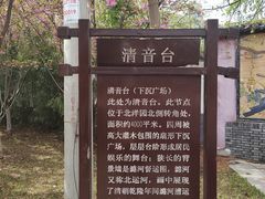-桃花堤公园