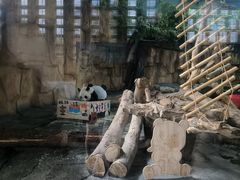 -泉州海丝野生动物世界