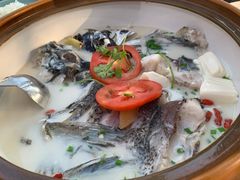 -全乐鱼馆·淳牌有机鱼直营店