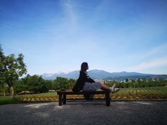-富田农场