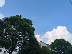-石台牯牛降景区