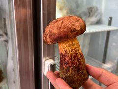 -菌之家·专业纯野生菌火锅·特色炒菌