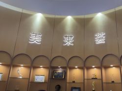 -深圳美莱医疗美容医院