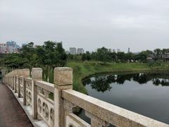 -眉山湿地公园(东坡区)