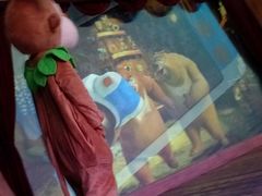 -青岛方特梦幻王国