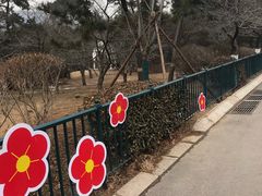 -青岛中山公园-索道售票处