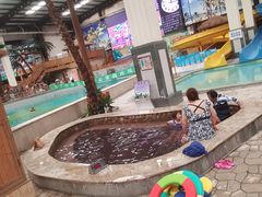 -南宫温泉水世界