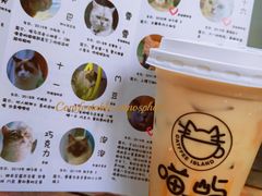 -喵屿·大理花园猫咖