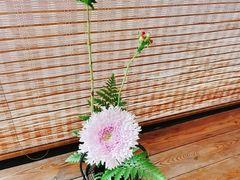 -鹤菊怀石料理(江北店)