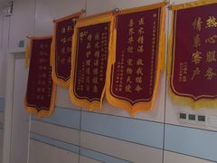 -中农国际动物医院24小时·猫科·骨科·急重症中心