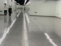 -杨高南路(地铁站)