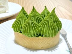 抹茶挞-猫里有甜