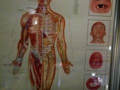 -洪盛堂(净居寺南街店)