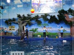 -石家庄极地海洋世界
