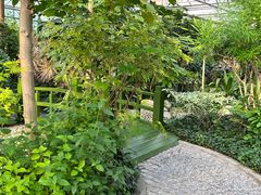 -南宫五洲植物乐园