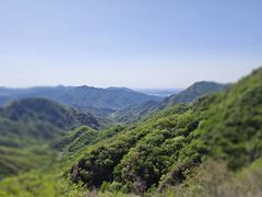 -大岭沟猕猴桃谷风景区