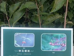-福道