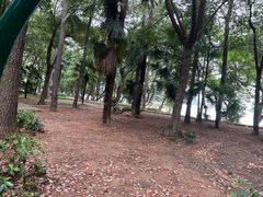 -东湖落雁景区