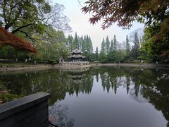 -习家池
