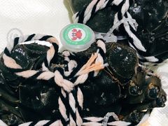 -蟹宝酒楼•农家菜(古城北路店)