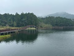 -海南热带雨林国家公园吊罗山景区