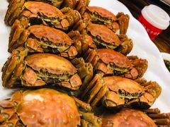 -百丈园龙江啫神馆