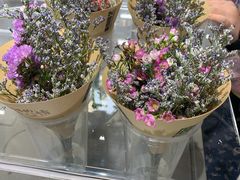 -鹿岛生活(熙地港店)