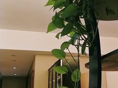 -上康中医脊椎理疗馆