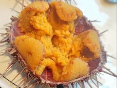 黄金胆-常鲜楼常来尝鲜海胆馆(星海店)
